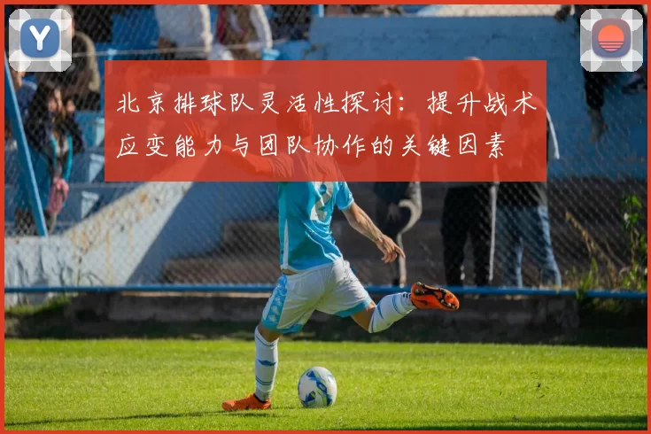 北京排球队灵活性探讨：提升战术应变能力与团队协作的关键因素