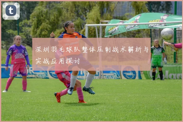 深圳羽毛球队整体压制战术解析与实战应用探讨