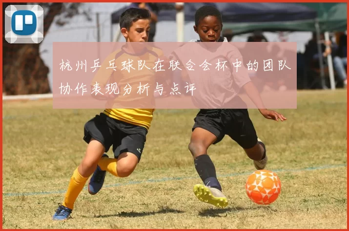 杭州乒乓球队在联合会杯中的团队协作表现分析与点评