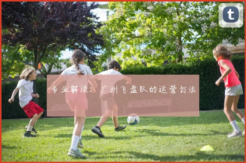专业解读：广州飞盘队的运营打法