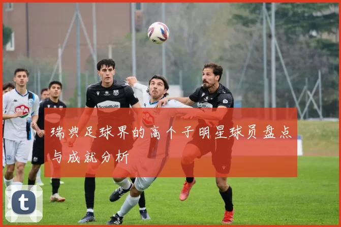 瑞典足球界的高个子明星球员盘点与成就分析