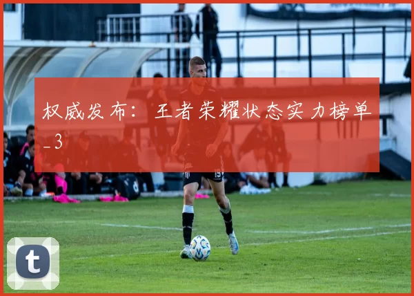 权威发布：王者荣耀状态实力榜单_3