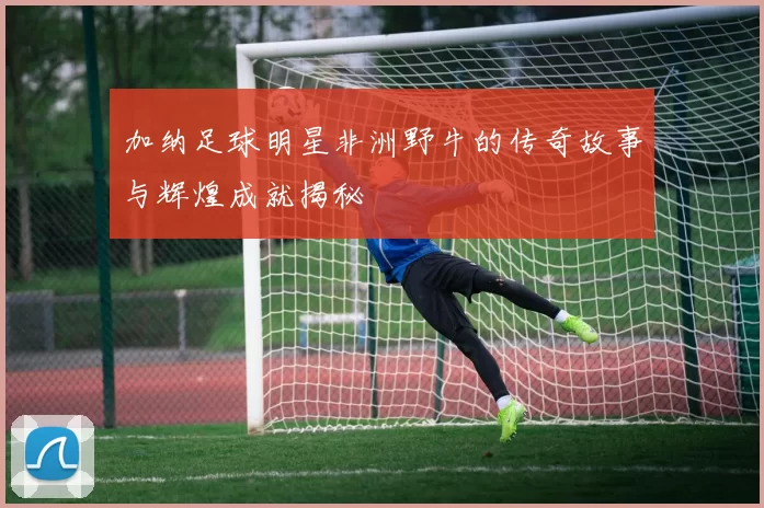 加纳足球明星非洲野牛的传奇故事与辉煌成就揭秘