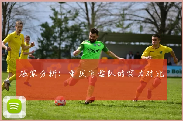 独家分析：重庆飞盘队的实力对比