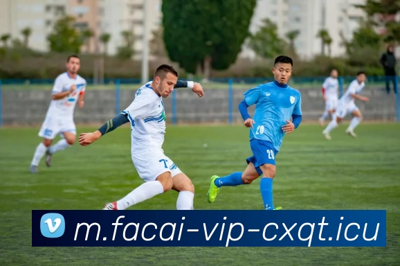 乐鱼体育平台生态图